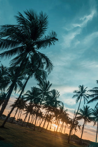 Miami Beach Sunrise