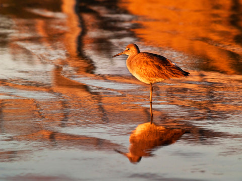 Sunset Stroll
