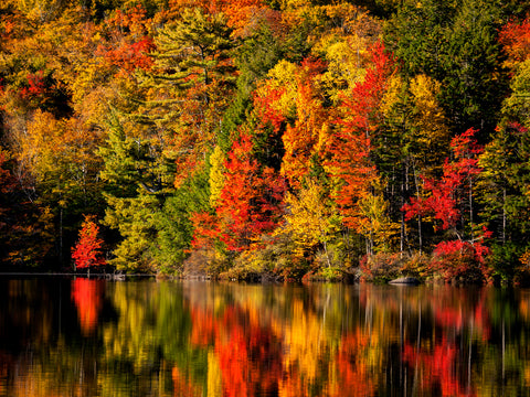 Mirror of the Season