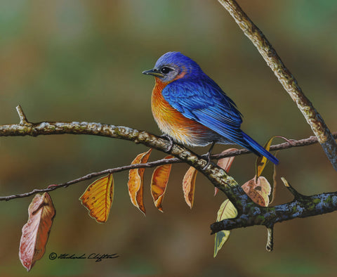 Autumn Leaves
