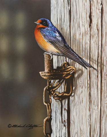 Perch