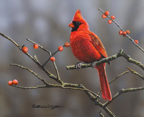 Winterberry