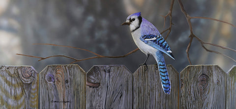 Neighborhood Jay