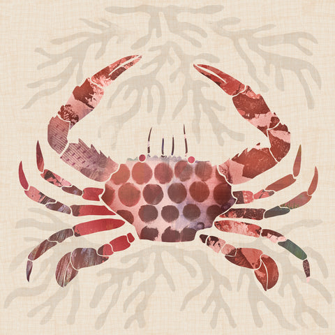 Coastal Mosaic Crab