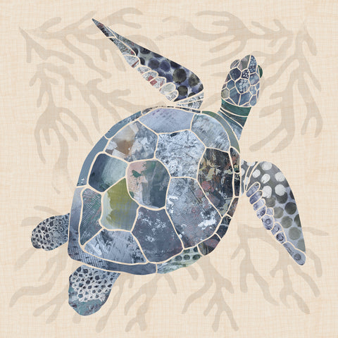 Coastal Mosaic Turtle