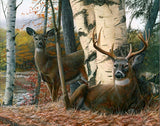 Autumn’s Majesty