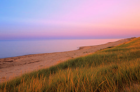 Grassy Ocean Glow