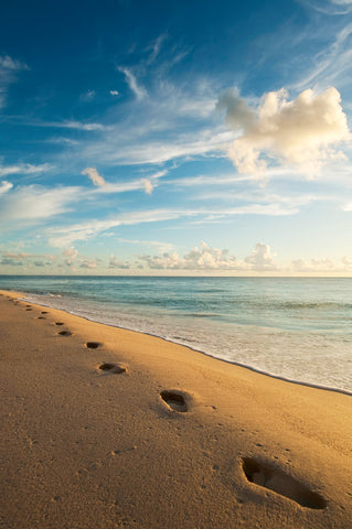 Beach Walk Memories