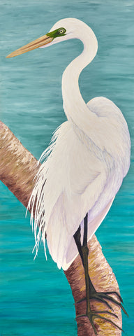 Great Egret in Mating Plumage