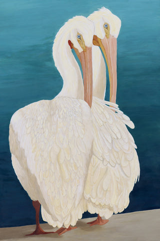 White Pelican Buddies