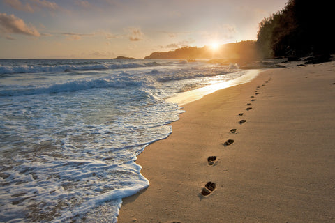 Sunrise Stroll