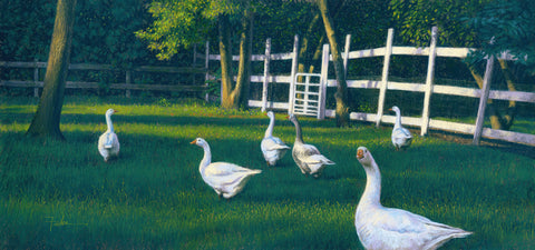 Fenced In