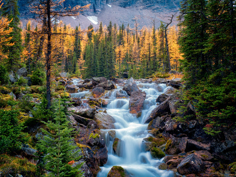 Larch Falls
