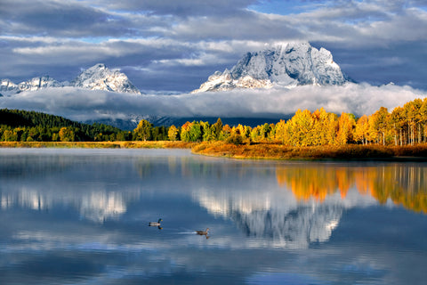 Perfect Reflection