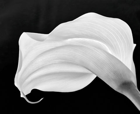Purity in Contrast
