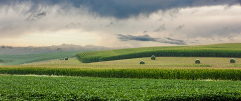 Rolling Hills of Eastern Iowa