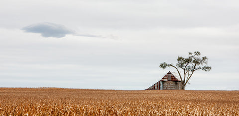 Single Late Fall Cloud