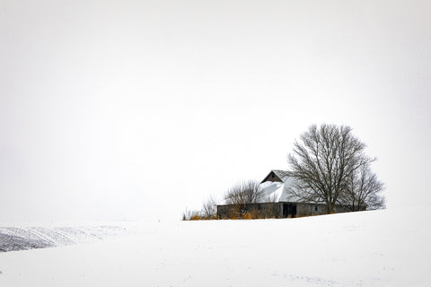 Standing Alone in the Snow