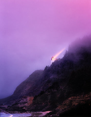 Light in the Fog -  Dennis Frates - McGaw Graphics