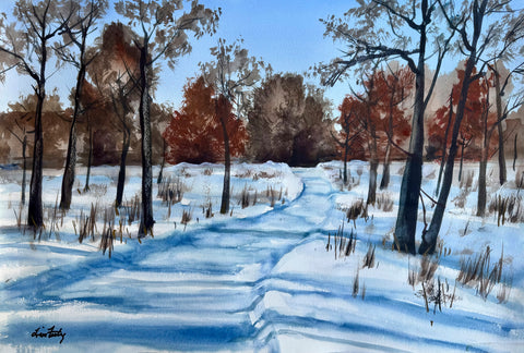Snowy Walking Path
