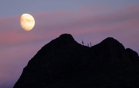 Desert Moonset -  Dennis Frates - McGaw Graphics
