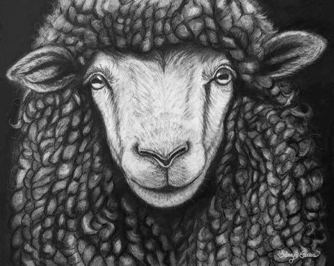 Whorls of Wool