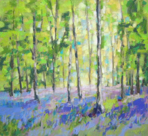Bluebell Woods III