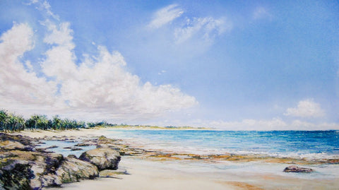 Rose Island The Bahamas -  Jennifer Gardner - McGaw Graphics