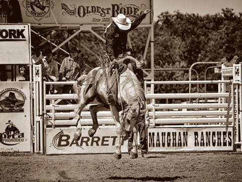 Lift Off -  Barry Hart - McGaw Graphics