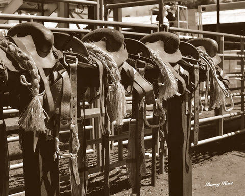Bronc Saddles