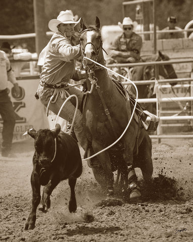 Calf Ropin'