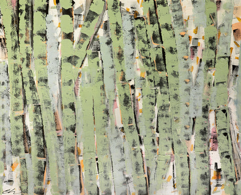 Birch