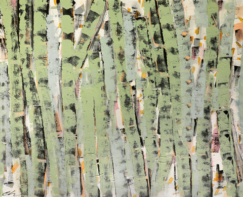 Birch