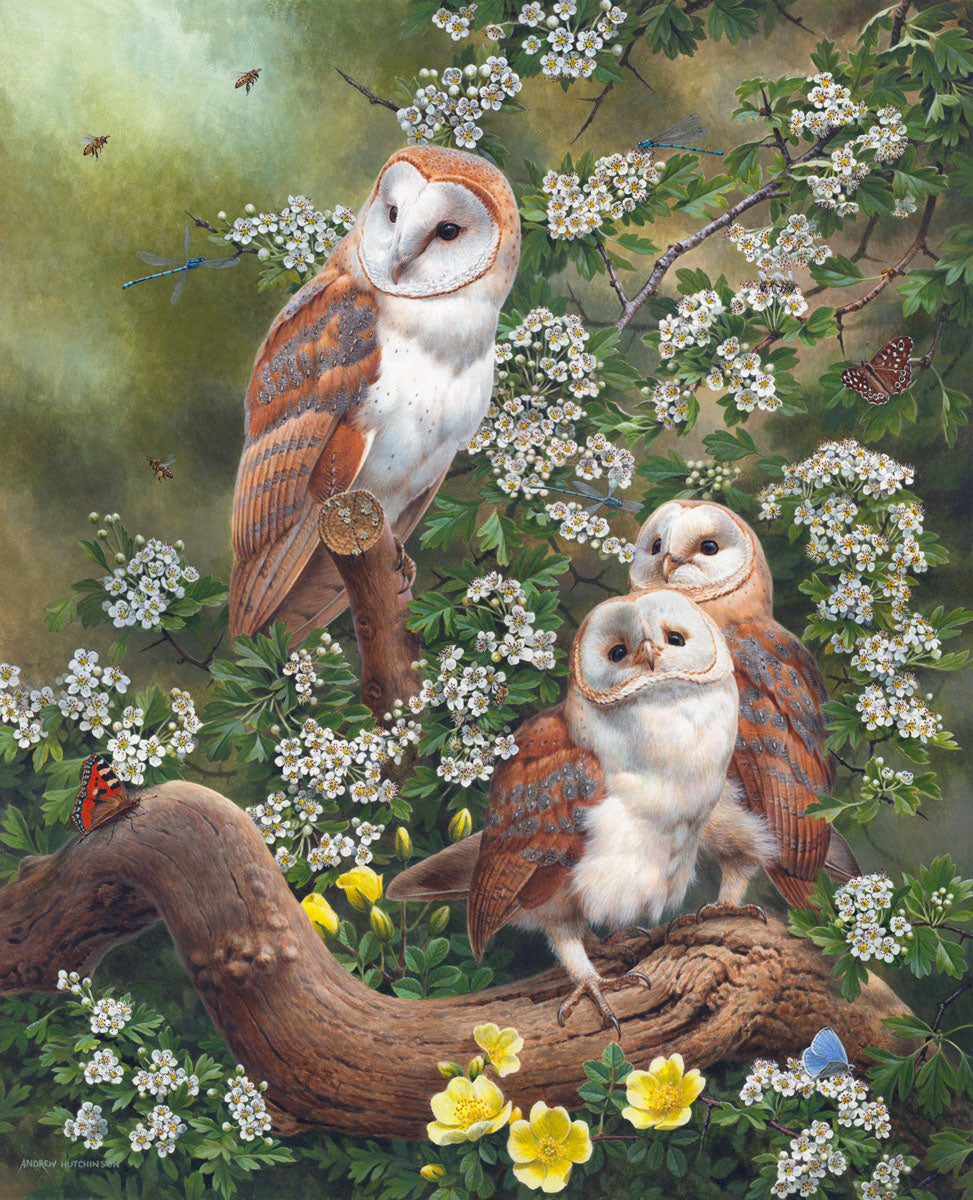 Barn Owl & Bees | McGaw Graphics