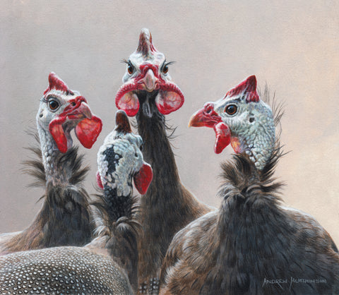 Guinea Fowl
