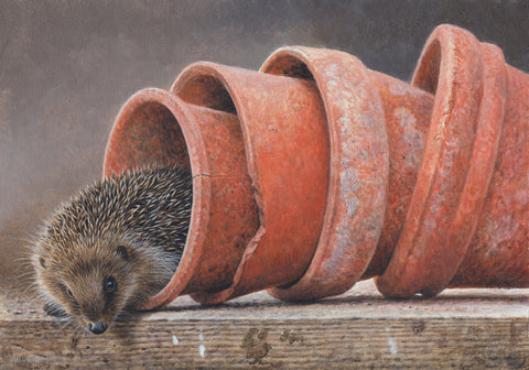 Hedgehog