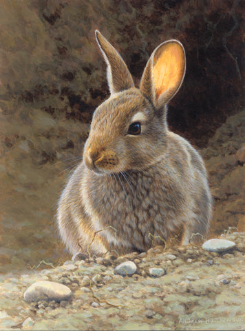 Rabbit