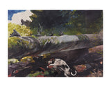 Hunting Dog Among Dead Trees, 1894