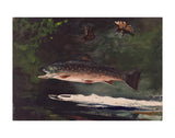 Trout Breaking, 1889