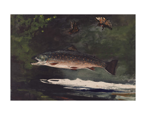Trout Breaking, 1889