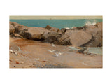 Rocky Coast and Gulls