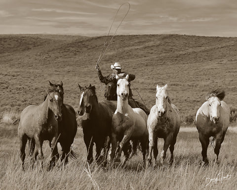 Cowboy Ropin -  Barry Hart - McGaw Graphics