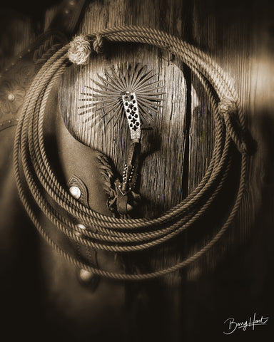 Single Spur n Rope -  Barry Hart - McGaw Graphics