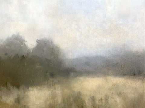 Misty Landscape II