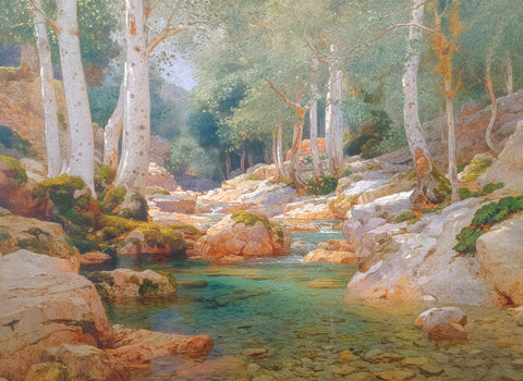 Wilderness Springs