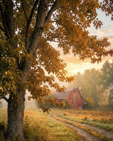 Echoes of the Harvest -  Ann Hunter - McGaw Graphics