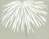 White Flora I