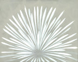 White Flora II