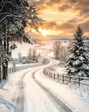 Homeward Bound II -  Ann Hunter - McGaw Graphics