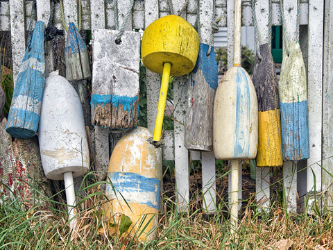 Weathered Buoys